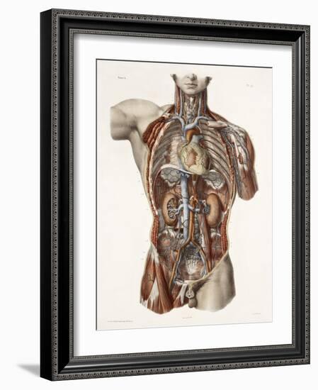 Cardiovascular System, Historical Artwork-Science Photo Library-Framed Photographic Print