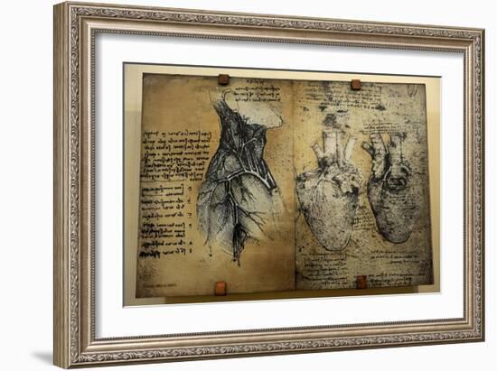 Cardiovascular System Leonardo Da Vinci's Drawing-null-Framed Giclee Print