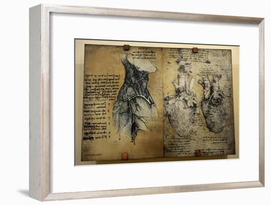 Cardiovascular System Leonardo Da Vinci's Drawing-null-Framed Giclee Print