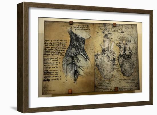 Cardiovascular System Leonardo Da Vinci's Drawing-null-Framed Giclee Print