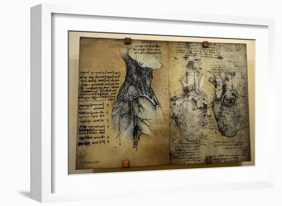 Cardiovascular System Leonardo Da Vinci's Drawing--Framed Giclee Print