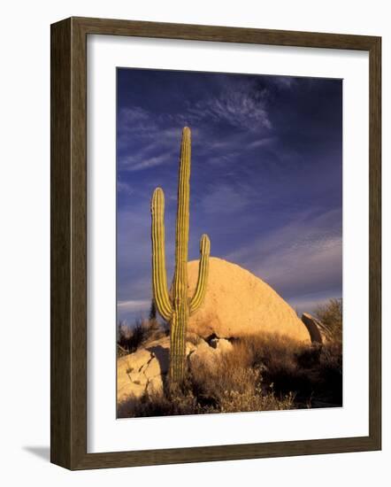 Cardon Cactus, Catavina Desert National Reserve, Baja del Norte, Mexico-Gavriel Jecan-Framed Photographic Print