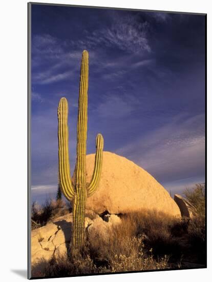 Cardon Cactus, Catavina Desert National Reserve, Baja del Norte, Mexico-Gavriel Jecan-Mounted Photographic Print