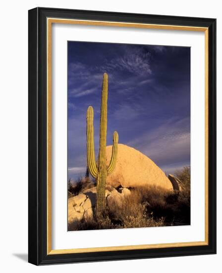 Cardon Cactus, Catavina Desert National Reserve, Baja del Norte, Mexico-Gavriel Jecan-Framed Photographic Print