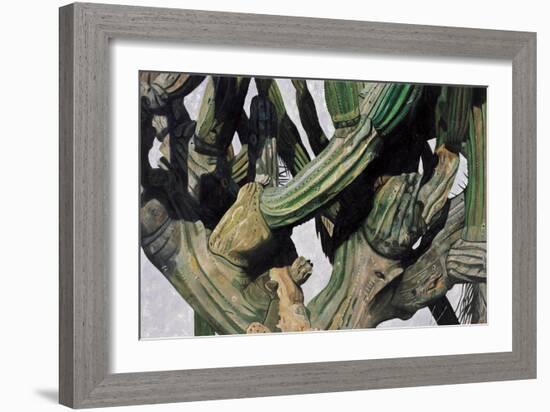 Cardon Cactus in Baja California, 2004-Pedro Diego Alvarado-Framed Giclee Print