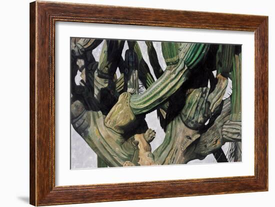 Cardon Cactus in Baja California, 2004-Pedro Diego Alvarado-Framed Giclee Print