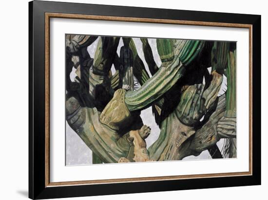 Cardon Cactus in Baja California, 2004-Pedro Diego Alvarado-Framed Giclee Print