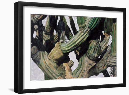 Cardon Cactus in Baja California, 2004-Pedro Diego Alvarado-Framed Giclee Print