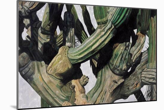 Cardon Cactus in Baja California, 2004-Pedro Diego Alvarado-Mounted Giclee Print