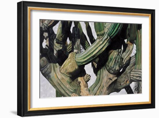 Cardon Cactus in Baja California, 2004-Pedro Diego Alvarado-Framed Giclee Print