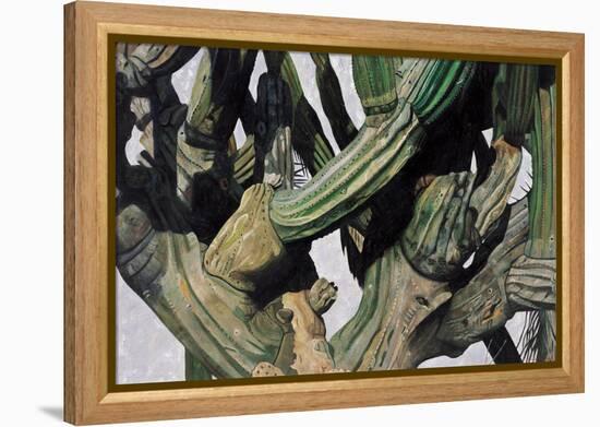 Cardon Cactus in Baja California, 2004-Pedro Diego Alvarado-Framed Premier Image Canvas