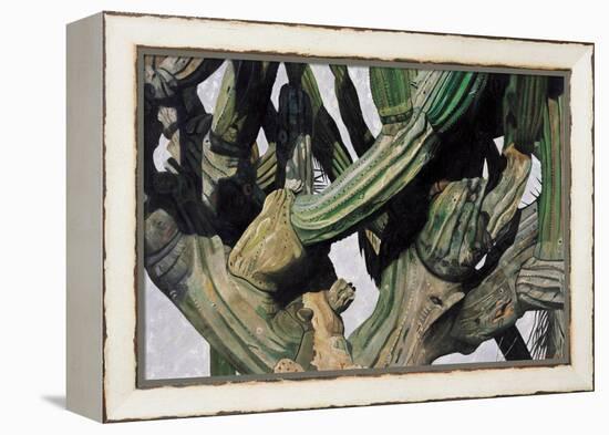 Cardon Cactus in Baja California, 2004-Pedro Diego Alvarado-Framed Premier Image Canvas