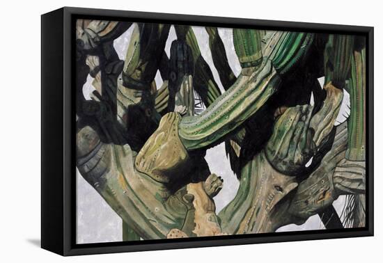 Cardon Cactus in Baja California, 2004-Pedro Diego Alvarado-Framed Premier Image Canvas