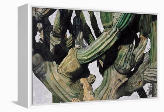 Cardon Cactus in Baja California, 2004-Pedro Diego Alvarado-Framed Premier Image Canvas