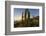 Cardon Cactus (Pachycereus Pringlei) at Sunset on Isla Santa Catalina, Baja California Sur, Mexico-Michael Nolan-Framed Photographic Print