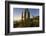 Cardon Cactus (Pachycereus Pringlei) at Sunset on Isla Santa Catalina, Baja California Sur, Mexico-Michael Nolan-Framed Photographic Print