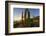 Cardon Cactus (Pachycereus Pringlei) at Sunset on Isla Santa Catalina, Baja California Sur, Mexico-Michael Nolan-Framed Photographic Print