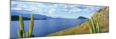 Premium Photographic Print