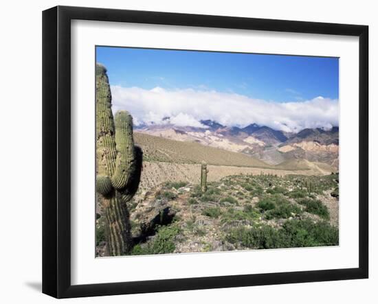 Cardones Growing in the Desert at 3000 Metres, Near Alfarcito, Jujuy, Argentina, South America-Lousie Murray-Framed Photographic Print