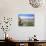 Cardones Growing in the Desert at 3000 Metres, Near Alfarcito, Jujuy, Argentina, South America-Lousie Murray-Photographic Print displayed on a wall