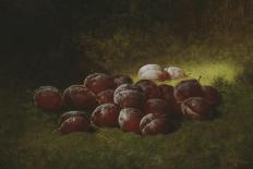 Plums, C.1870-Carducius Plantagenet Ream-Giclee Print