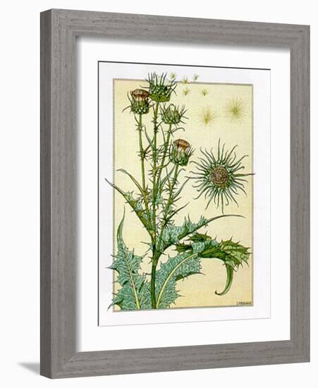 Cardus-M^ P^ Verneuil-Framed Art Print