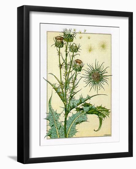 Cardus-M^ P^ Verneuil-Framed Art Print