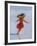 Carefree-Nigel Mason-Framed Giclee Print