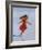 Carefree-Nigel Mason-Framed Art Print