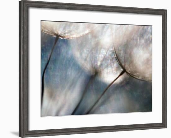 Carefree-Ursula Abresch-Framed Premium Photographic Print