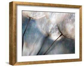 Carefree-Ursula Abresch-Framed Photographic Print
