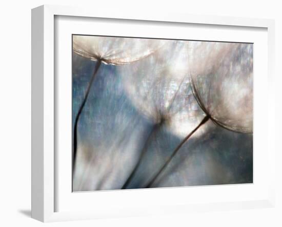 Carefree-Ursula Abresch-Framed Photographic Print