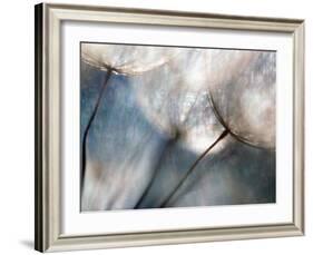 Carefree-Ursula Abresch-Framed Photographic Print
