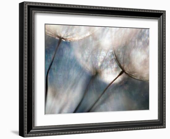 Carefree-Ursula Abresch-Framed Photographic Print