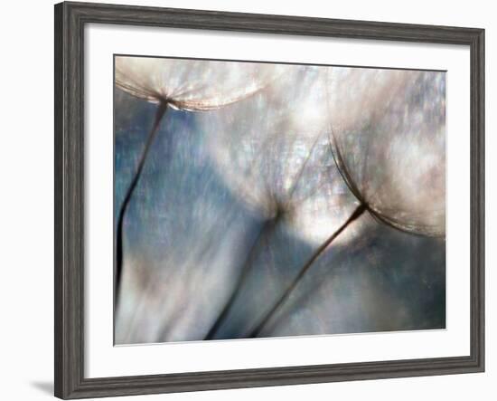 Carefree-Ursula Abresch-Framed Photographic Print