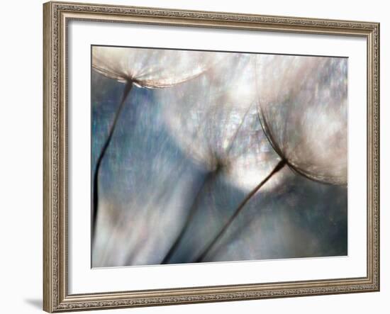 Carefree-Ursula Abresch-Framed Photographic Print