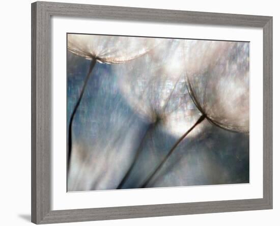 Carefree-Ursula Abresch-Framed Photographic Print