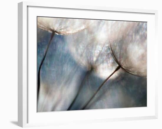 Carefree-Ursula Abresch-Framed Photographic Print