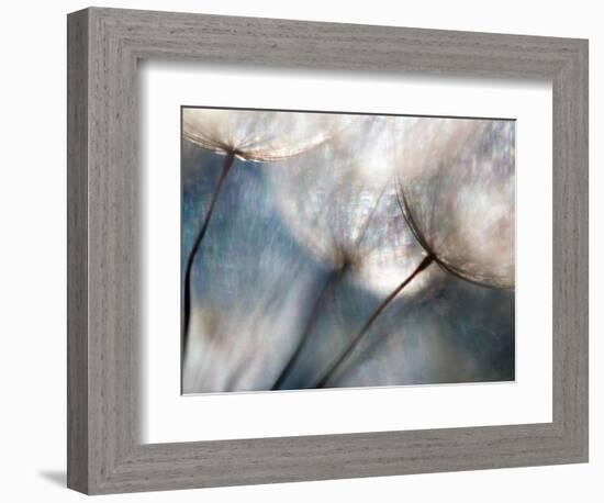 Carefree-Ursula Abresch-Framed Photographic Print