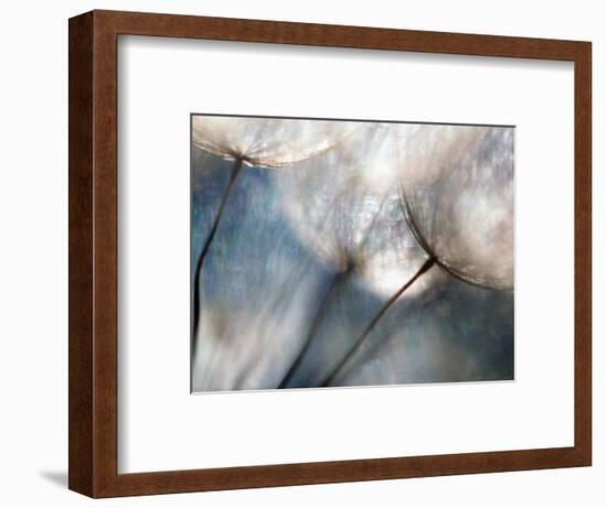 Carefree-Ursula Abresch-Framed Photographic Print