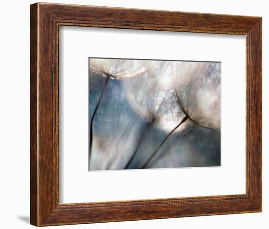 Carefree-Ursula Abresch-Framed Photographic Print