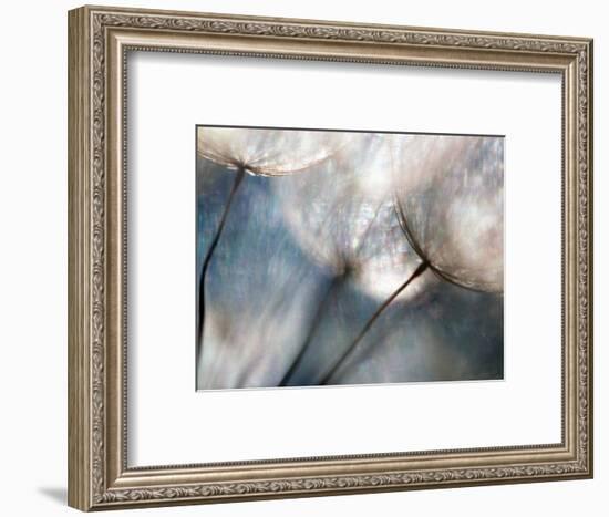 Carefree-Ursula Abresch-Framed Photographic Print