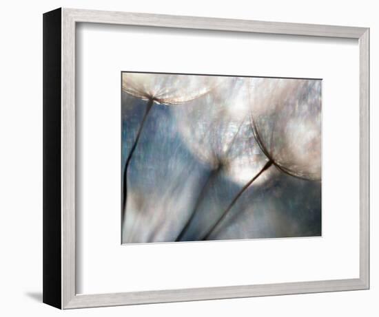 Carefree-Ursula Abresch-Framed Photographic Print