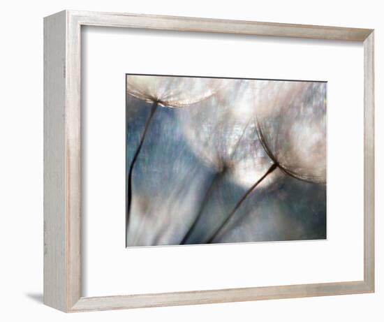 Carefree-Ursula Abresch-Framed Photographic Print