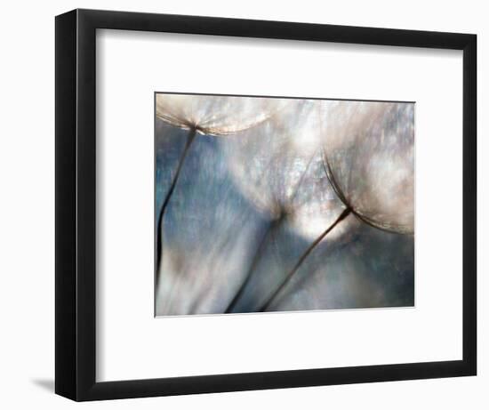 Carefree-Ursula Abresch-Framed Premium Photographic Print