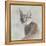 Careful Caracal-Wink Gaines-Framed Stretched Canvas