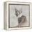 Careful Caracal-Wink Gaines-Framed Stretched Canvas