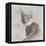 Careful Caracal-Wink Gaines-Framed Stretched Canvas