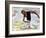 Careful Sparrow-Noland Anderson-Framed Art Print