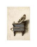 A Girl with a Broom-Carel Fabritius-Giclee Print